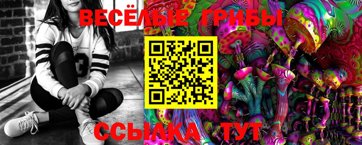 Бийск  Галлюциногенные грибы мухоморы  Вход с VPN 